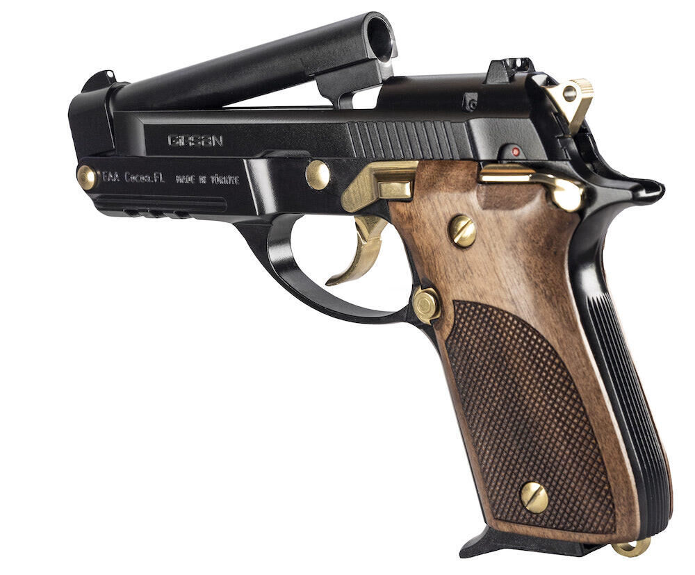 The .380 for Concealed Carry and Self…