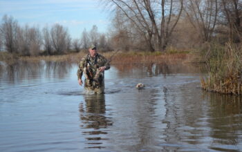 Is Your Shop Taking Advantage Of Waterfowl Shooting